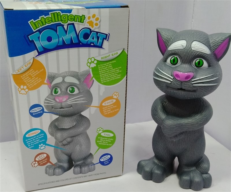 Intelligent Tom Cat